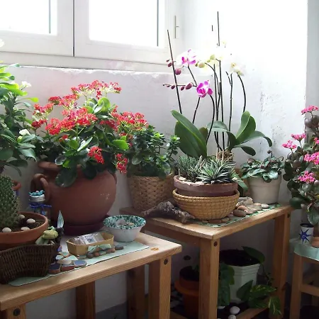 Pensionat Porta Del Mare